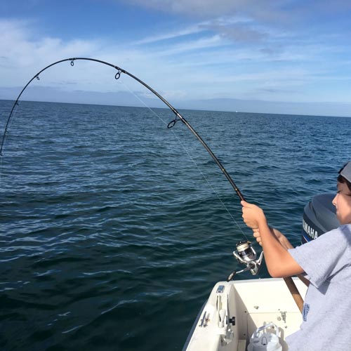 fishing Scotty J Charters