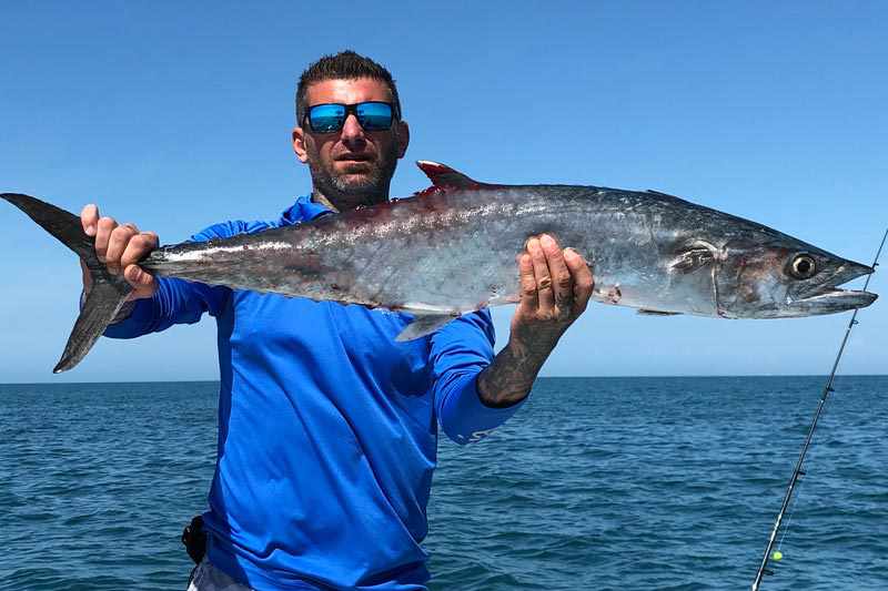 fishing-mackerel king mackerel catch