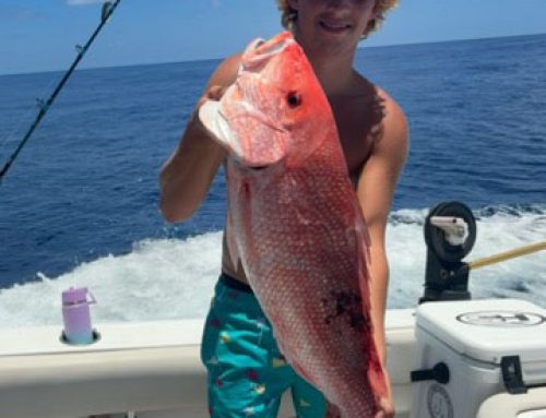 Extended Red Snapper Season Gulfport: Keep Catching with Scotty J Charters