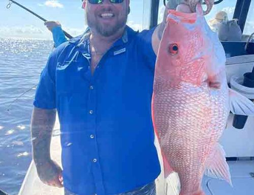 Red Snapper Fishing: Epic Offshore  Adventures with Scotty J Charters