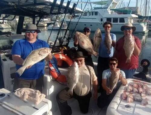 Get Hooked on Adventure: Exclusive Private Fishing Charters in Gulfport, FL with Scotty J’s!