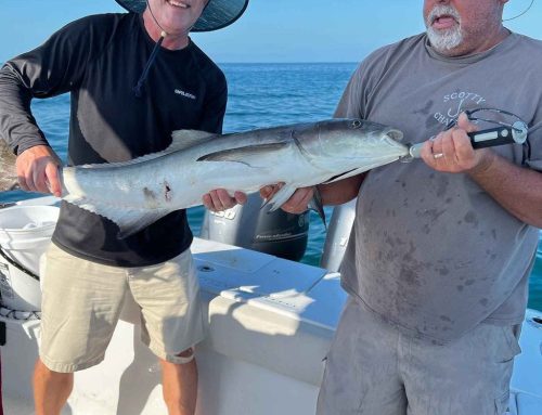Veteran Owned Fishing Charters in Gulfport, FL: Discover Scotty J Charters