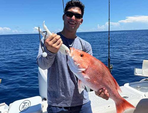 Offshore Fall Fishing Is Open Off Gulfport